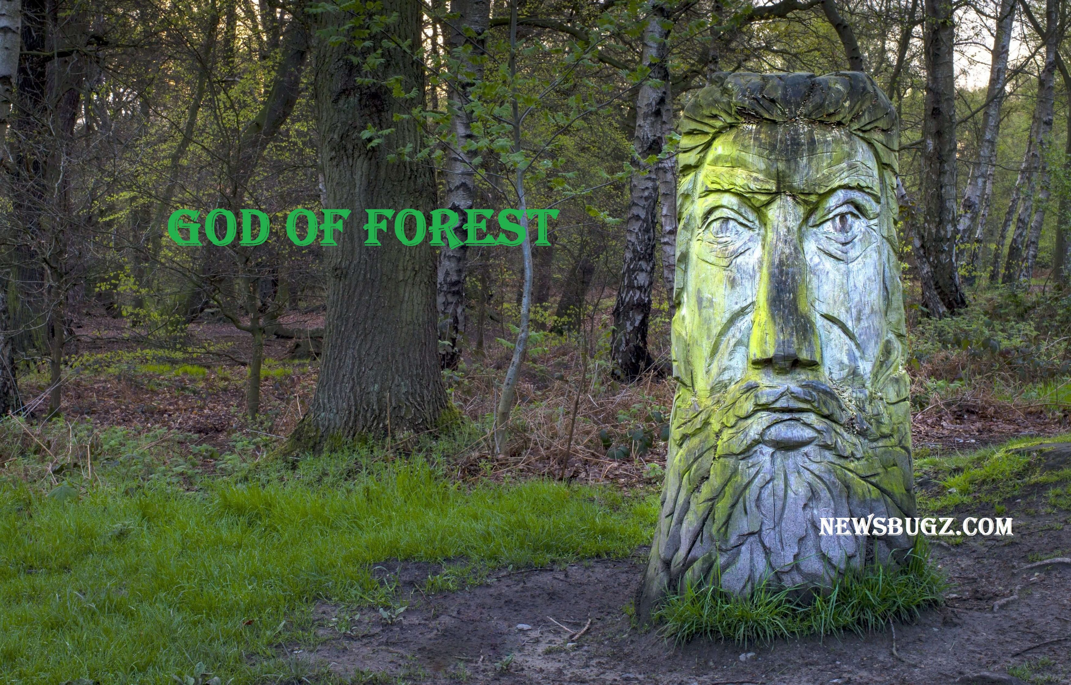 God of Forest