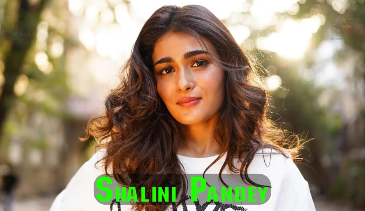 Shalini Pandey (Actress) Wiki, Biography, Age, Family, Movies, Images -  News Bugz