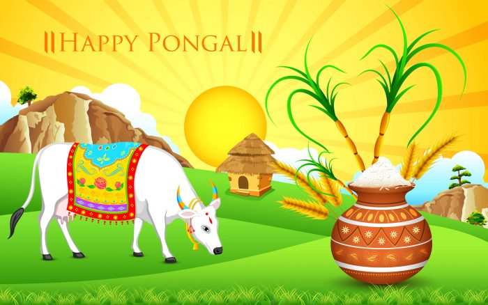 Happy Pongal Festival