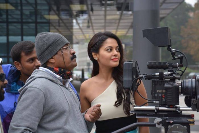 Bindu Madhavi