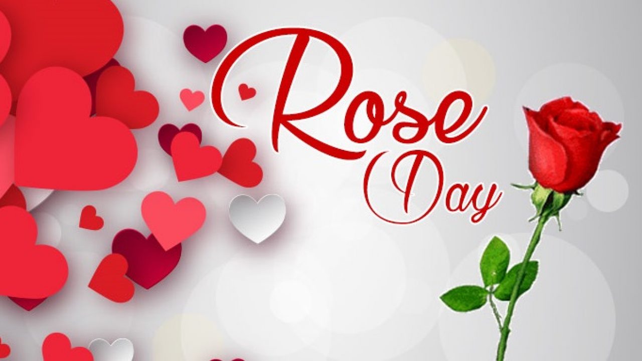 Happy Rose Day 2023 | Valentines Week, Greetings, Love Quotes, Images and  More - News Bugz