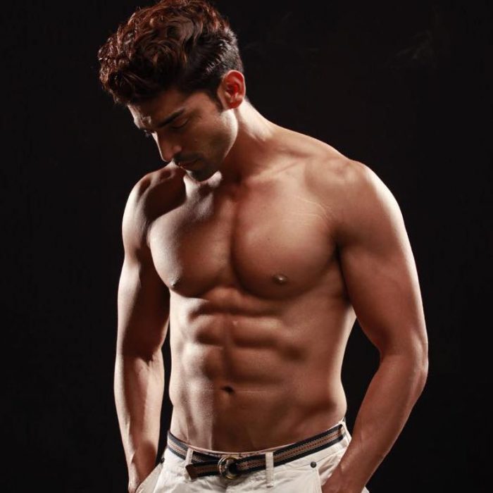 Gurmeet Choudhary Wiki Gurmeet Choudhary Wiki