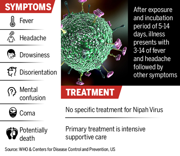 Nipah Virus symptoms - News Bugz