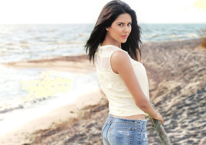 Image result for sonam bajwa