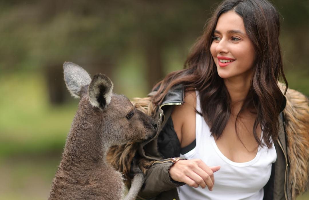 Shibani Dandekar Wiki