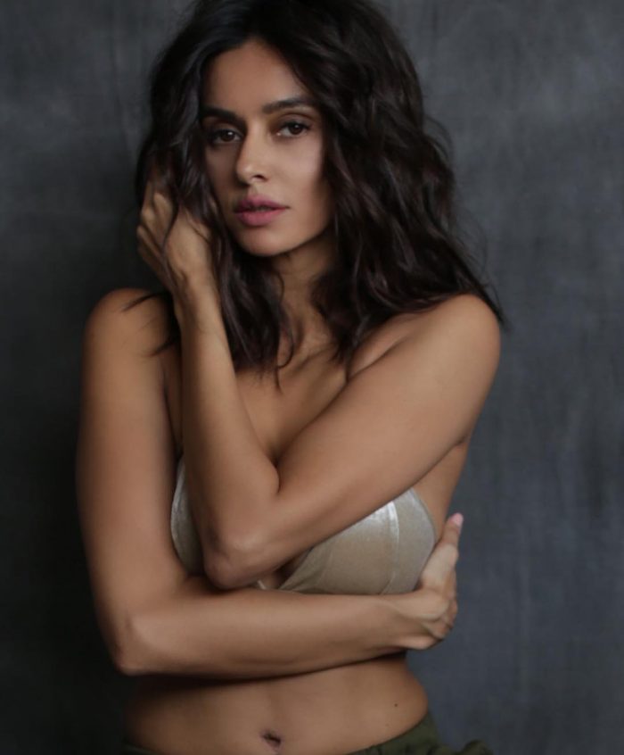 Shibani Dandekar Wiki Shibani Dandekar Wiki