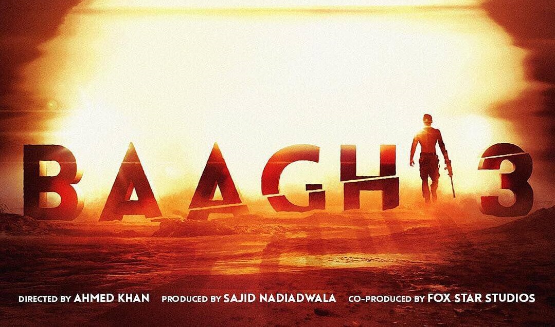 Baaghi 3 Hindi Movie