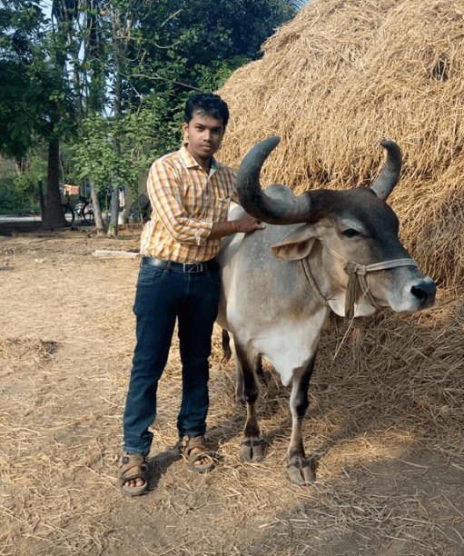 Paari Saalan