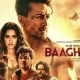 Baaghi 3 Movie Download