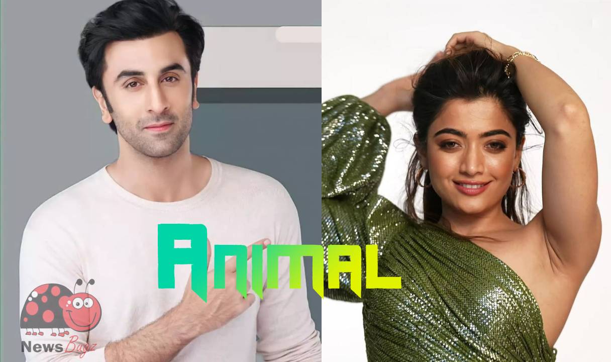 Animal Hindi Movie (2023): Cast | Trailer | Songs | Release Date - News Bugz