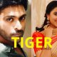 Tiger Tamil Movie 2022