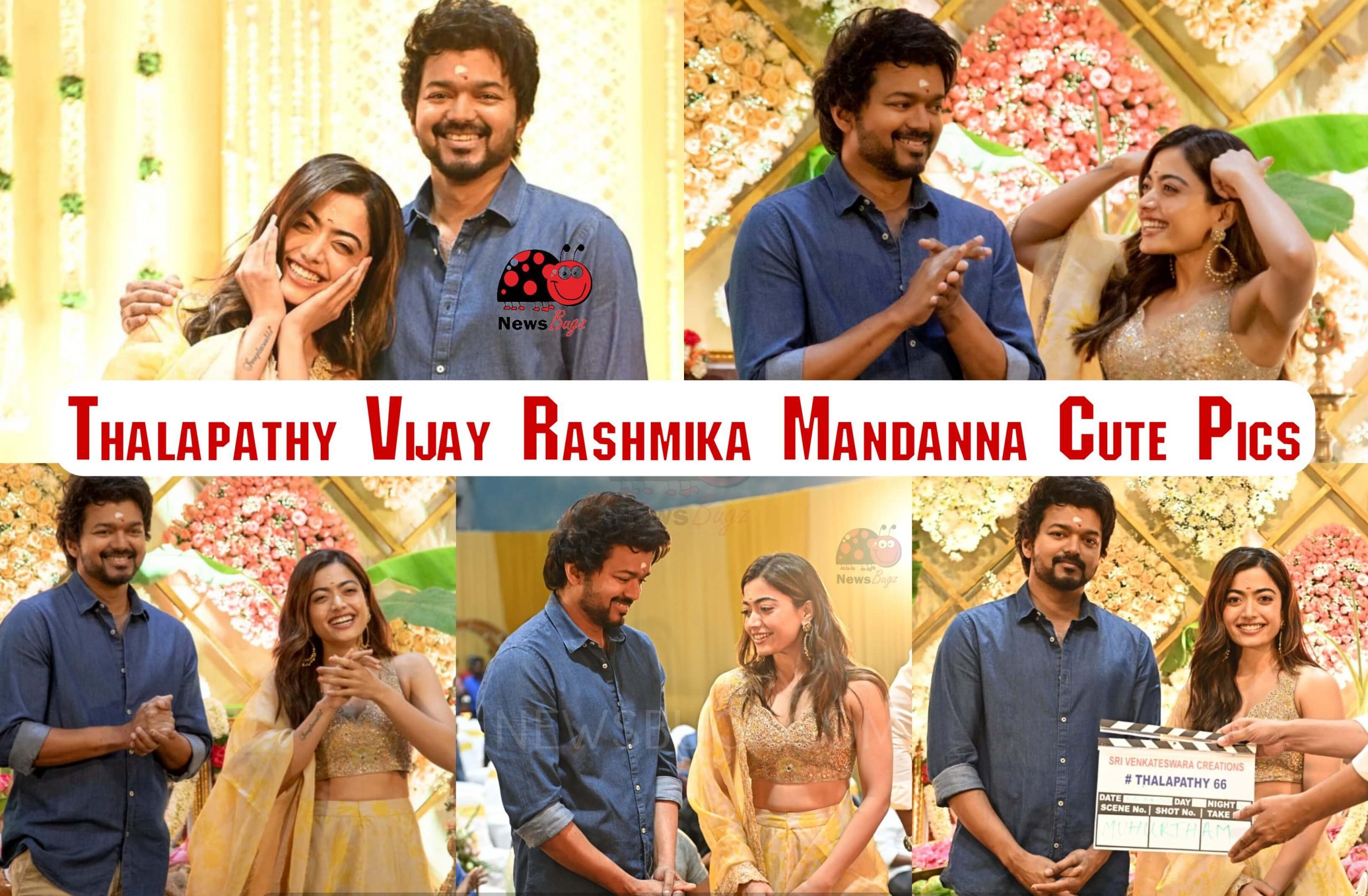 Vijay Rashmika Mandanna