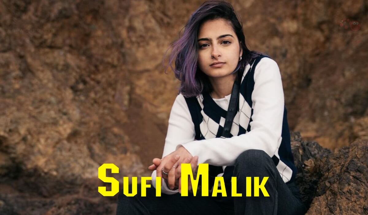 Sufi Malik