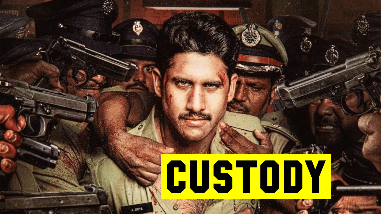 Custody Movie