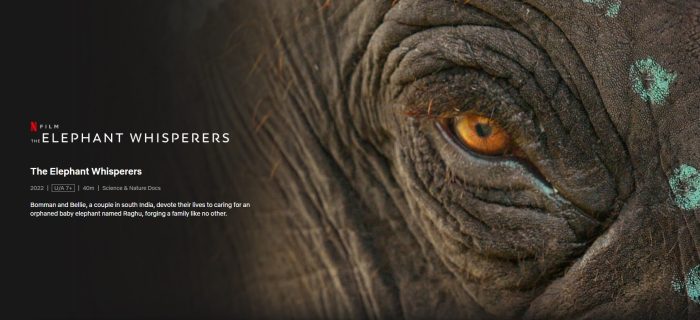 The Elephant Whisperers Netflix